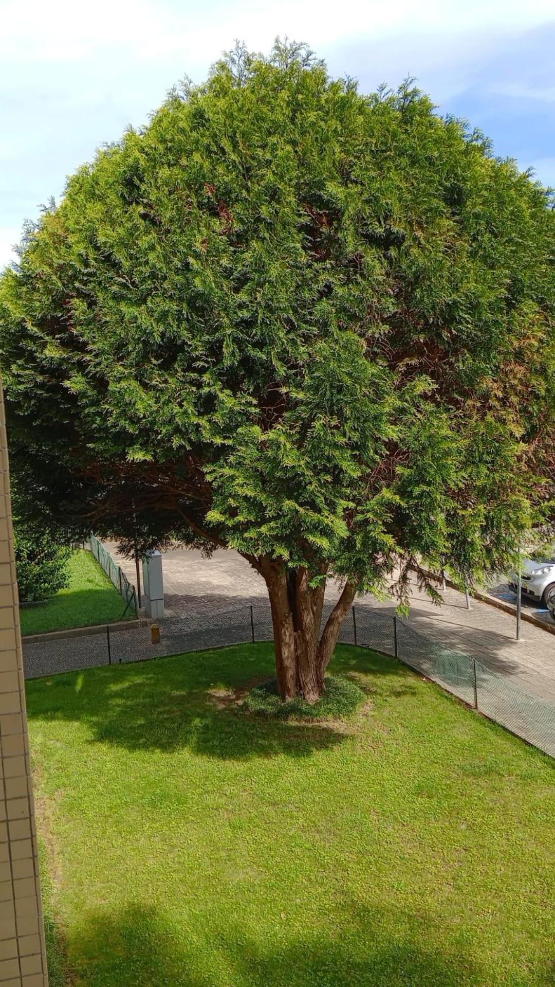 Ferienwohnung Praceta Porto Exterior foto